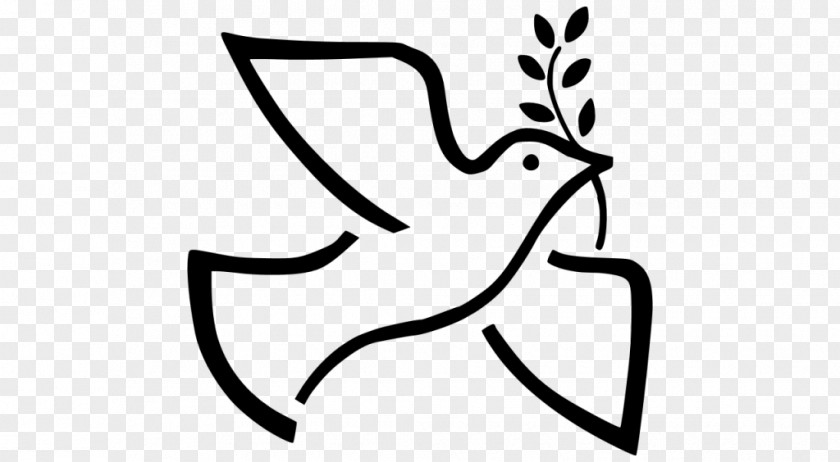Olive Doves As Symbols Columbidae Peace Clip Art PNG