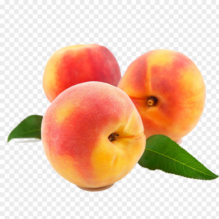 Peach Stock Photography Fruit PNG