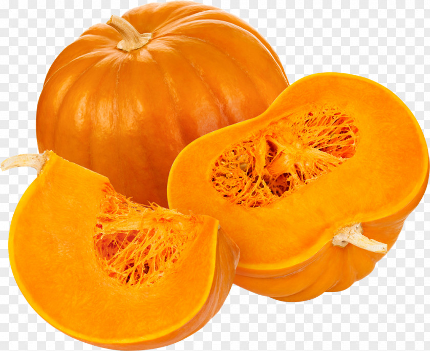 Pumpkin Pie Spice Latte Seed PNG