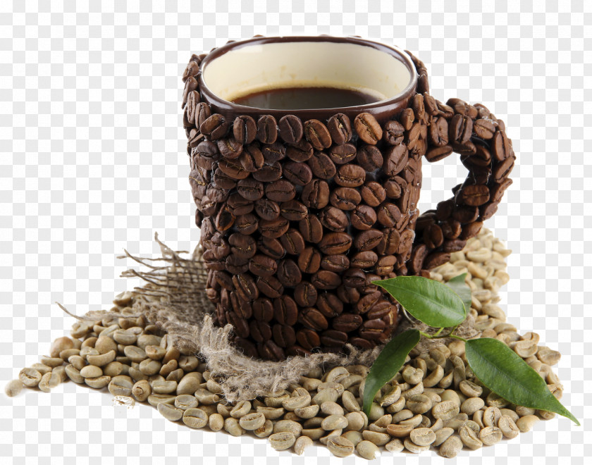 Quality Coffee Beans Bean Cafe PNG