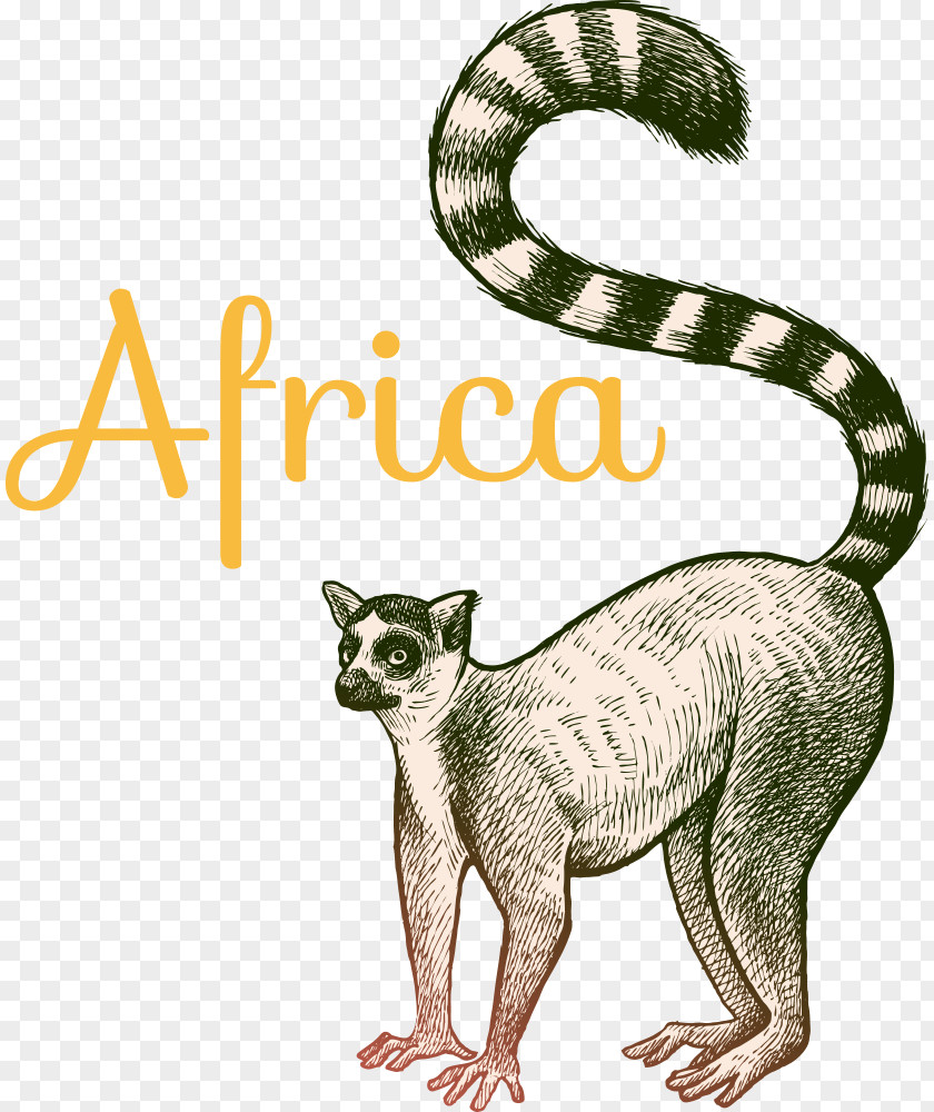 Vector Cartoon Ring-tailed Lemur PNG