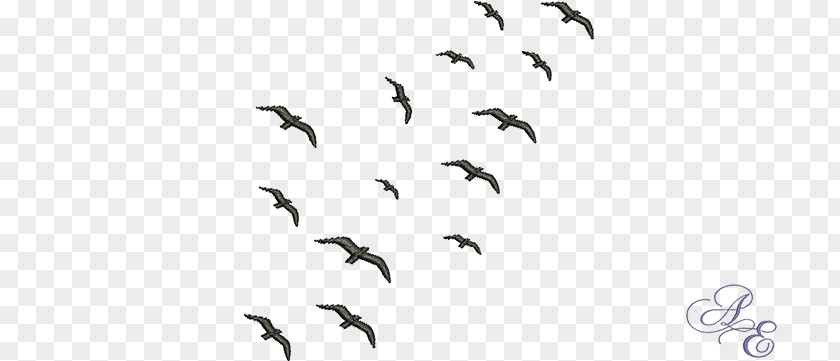 Bird Flocking Migration Swarm Behaviour PNG