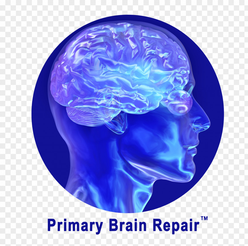 Brain Human Injury Repair Drug PNG