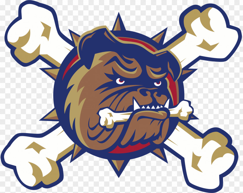 Bull Dog Hamilton Bulldogs Ontario Hockey League American St. John's IceCaps National PNG