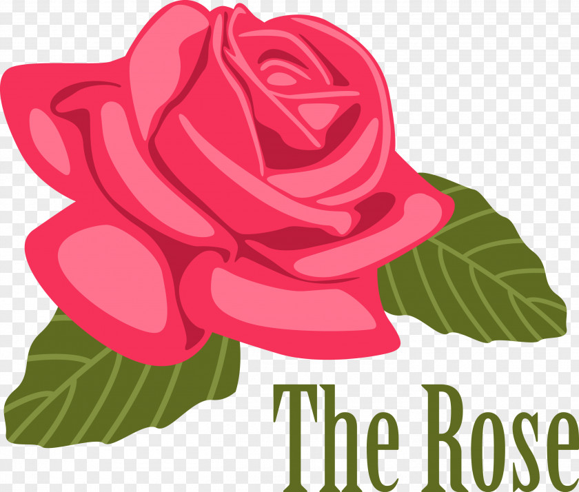 Rose Vector PNG