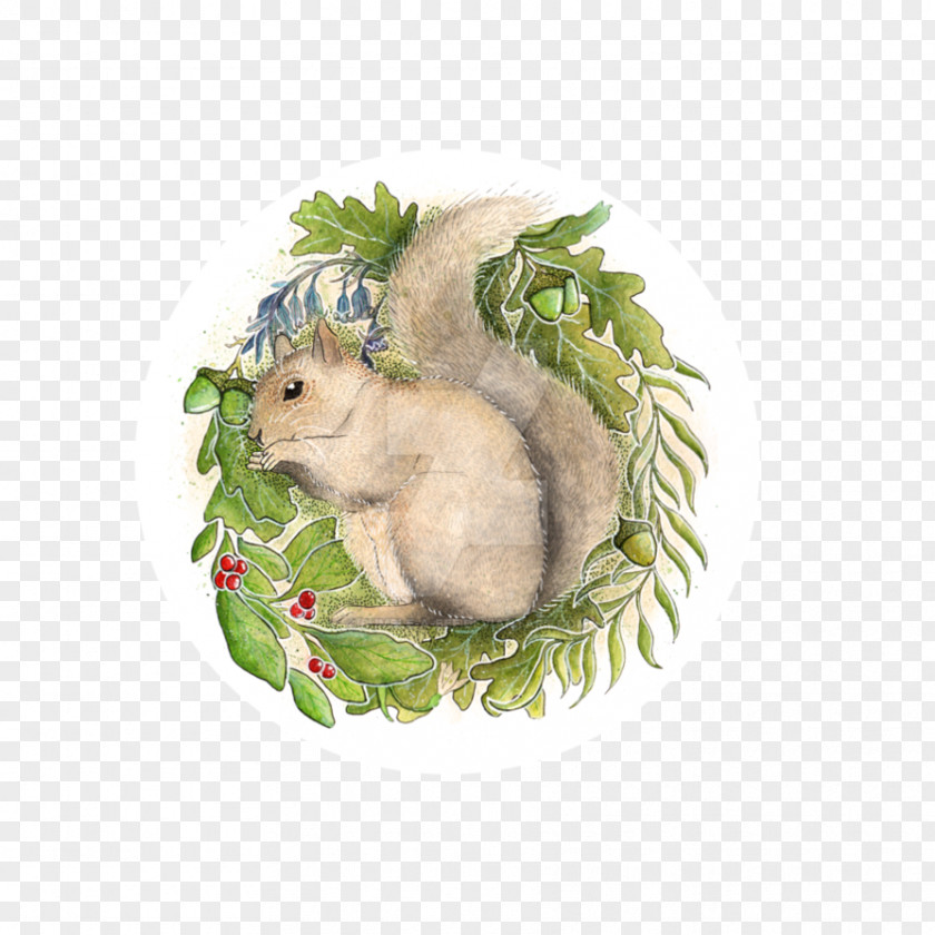 Sky，squirrel Rodent Fauna PNG