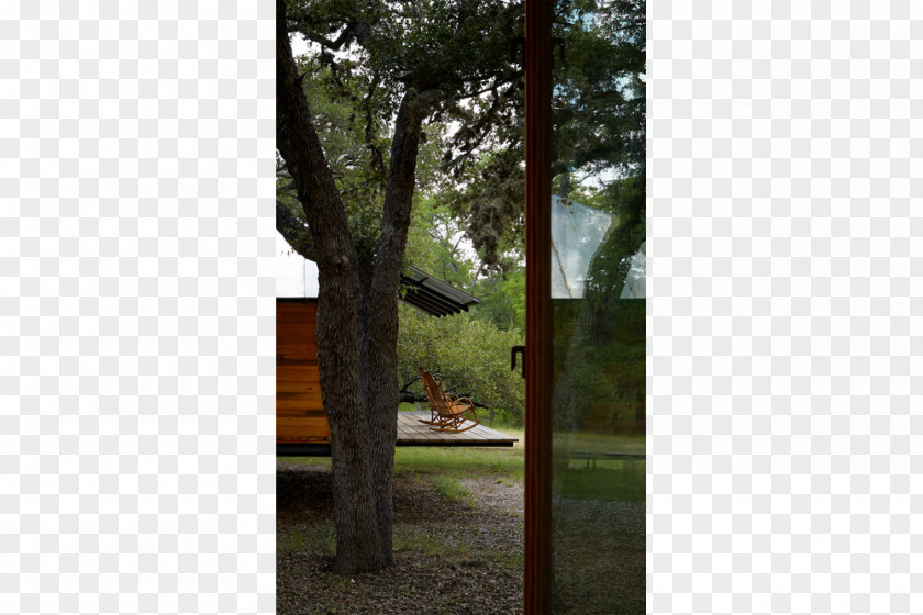 Tree Window Landscape Wood /m/083vt PNG
