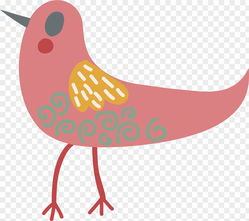 Vector Cute Cartoon Bird Illustration PNG