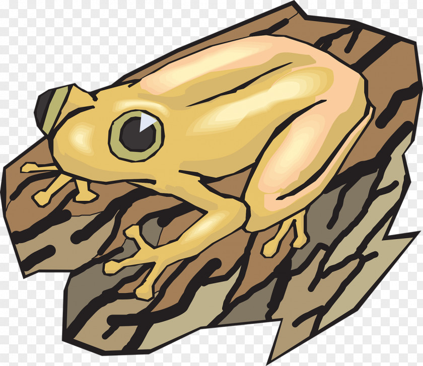 Yellow Day Frog Clip Art PNG