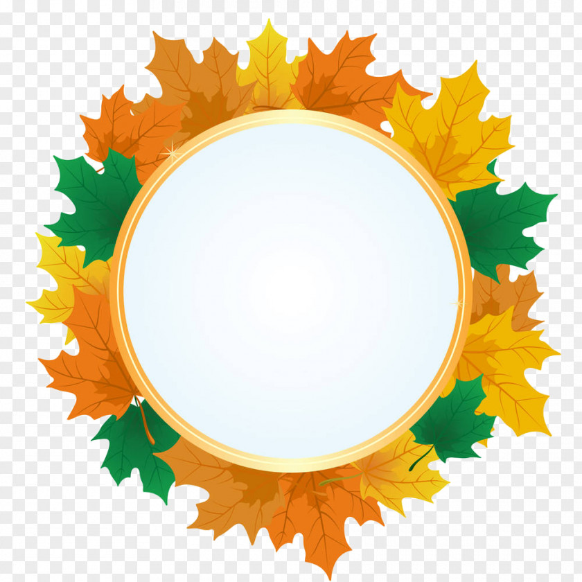 Maple Circle Box Illustration Leaf Royalty-free PNG