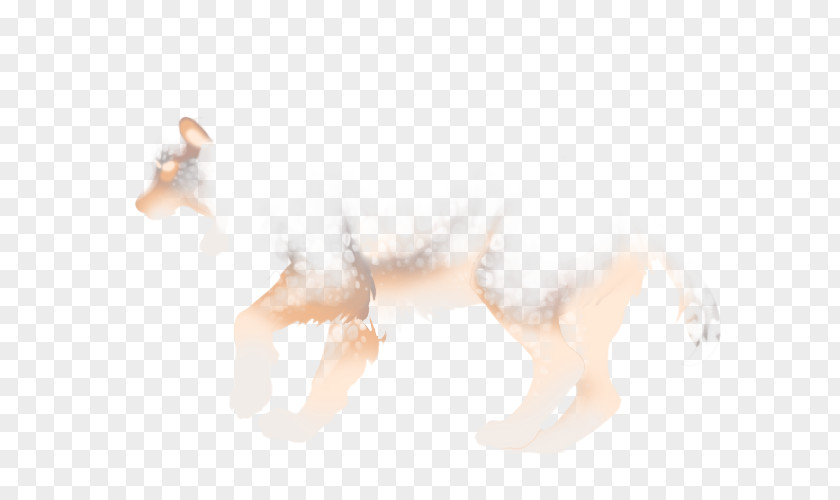 Mist-shrouded Canidae Dog H&M Tail Mammal PNG