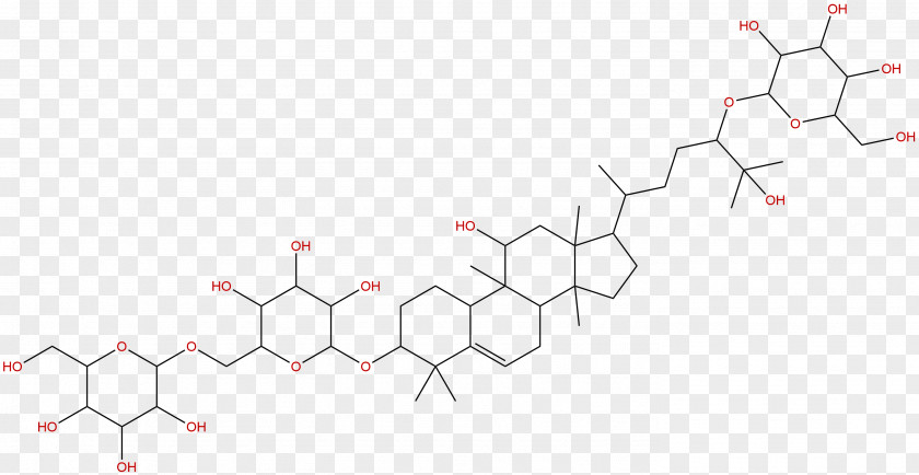 Phytochemicals Line Point Angle Tree Diagram PNG