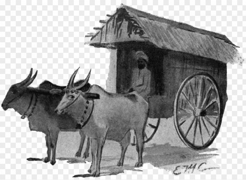 Reindeer Chariot White PNG