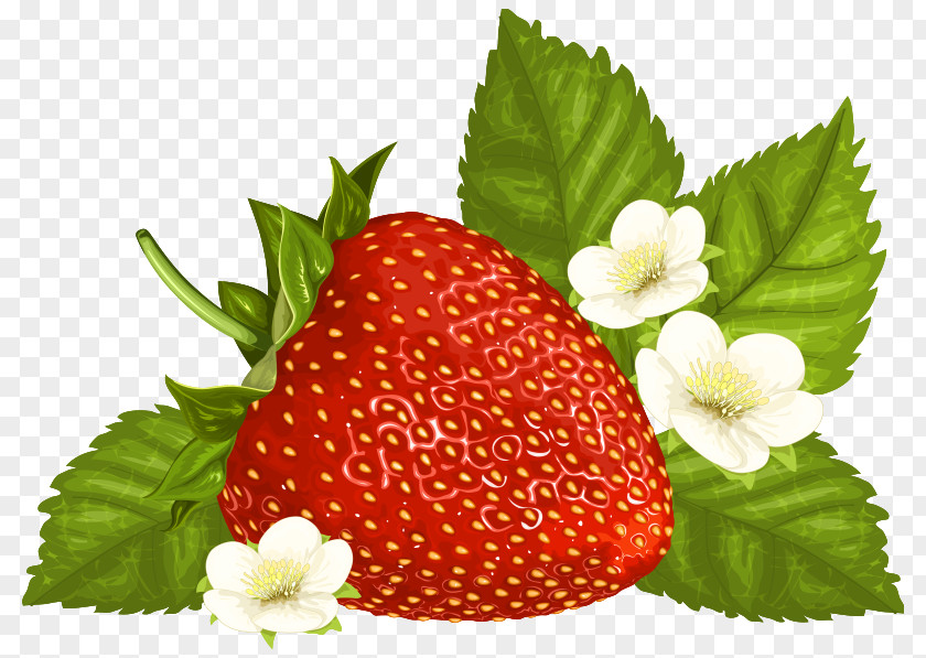 Strawberry Pie Clip Art PNG