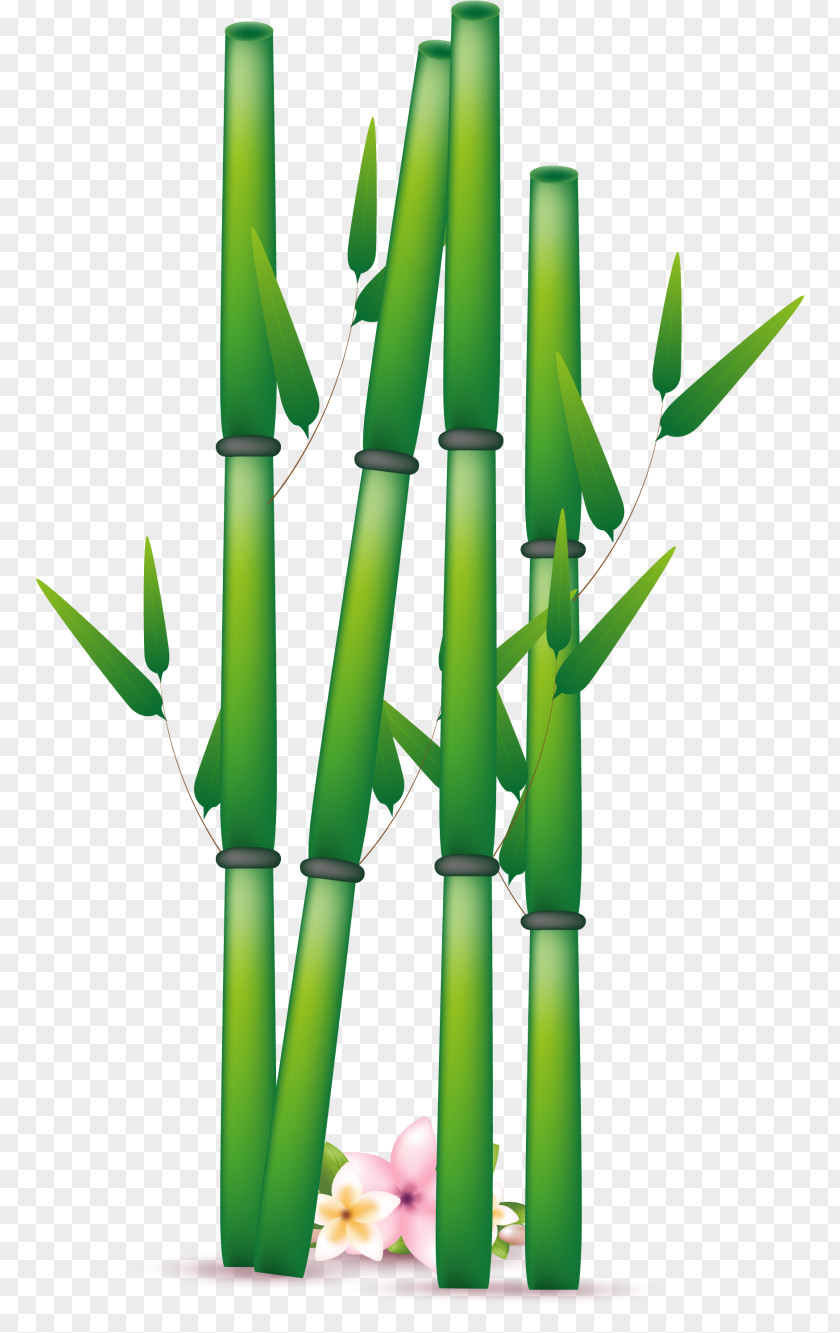 Bamboo Clip Art Vector Graphics Image PNG