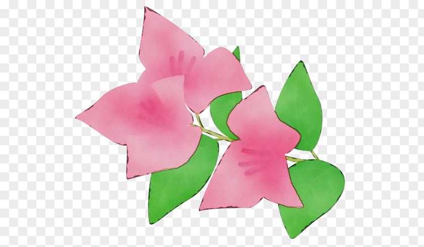 Flowering Plant Paper Pink Petal Flower Wheel PNG