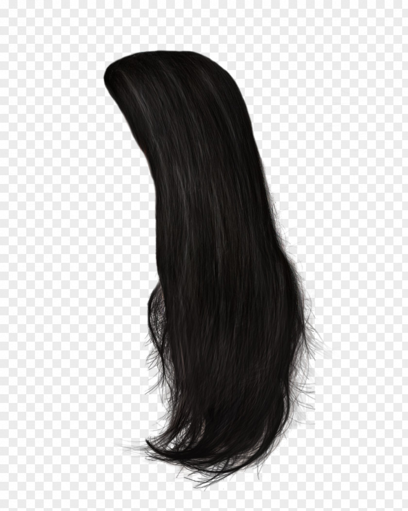 Hair 11 Black Wig Hairstyle Long PNG