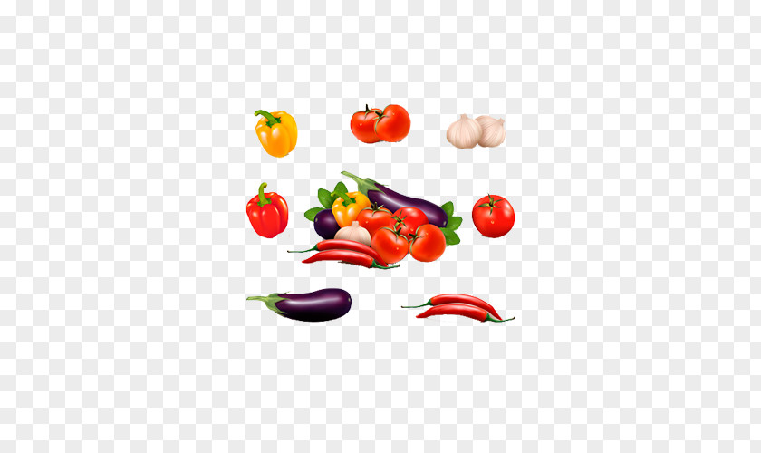 Hand Painted Picture Of Vegetables Chili Con Carne Pepper Garlic Bell PNG