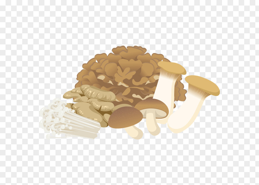 Mushroom Food Ingredient Seikatsu Meal PNG