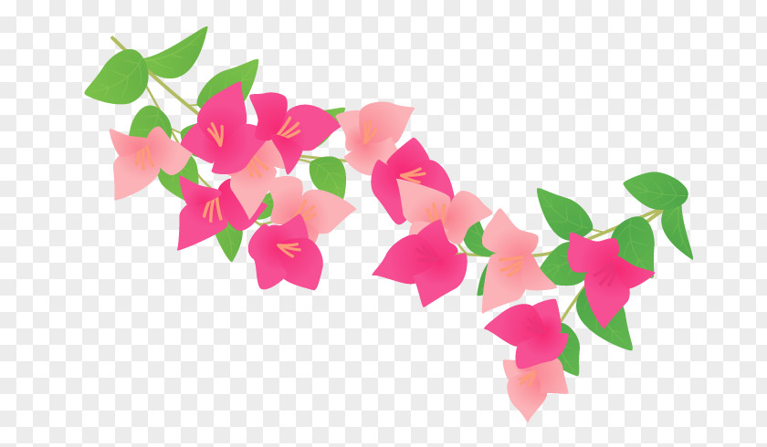 Pattern Summer Bougainvillea Plants Petal PNG