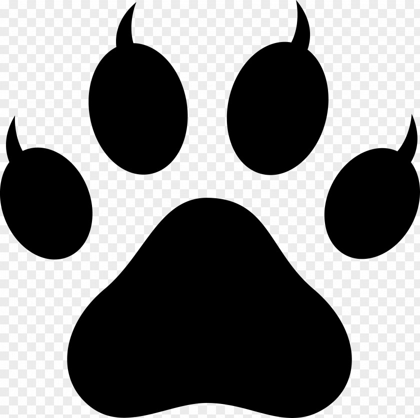 Paw Dogo Argentino Wildcat Clip Art PNG