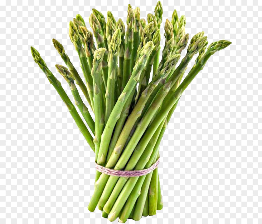 Rhubarb Asparagus Food Vegetable Noor Trade House Cooking PNG