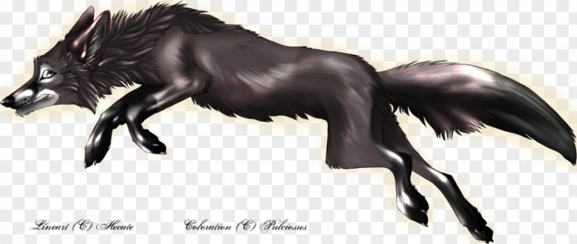 Silver Fox Drawing DeviantArt Fan Art Mustang PNG