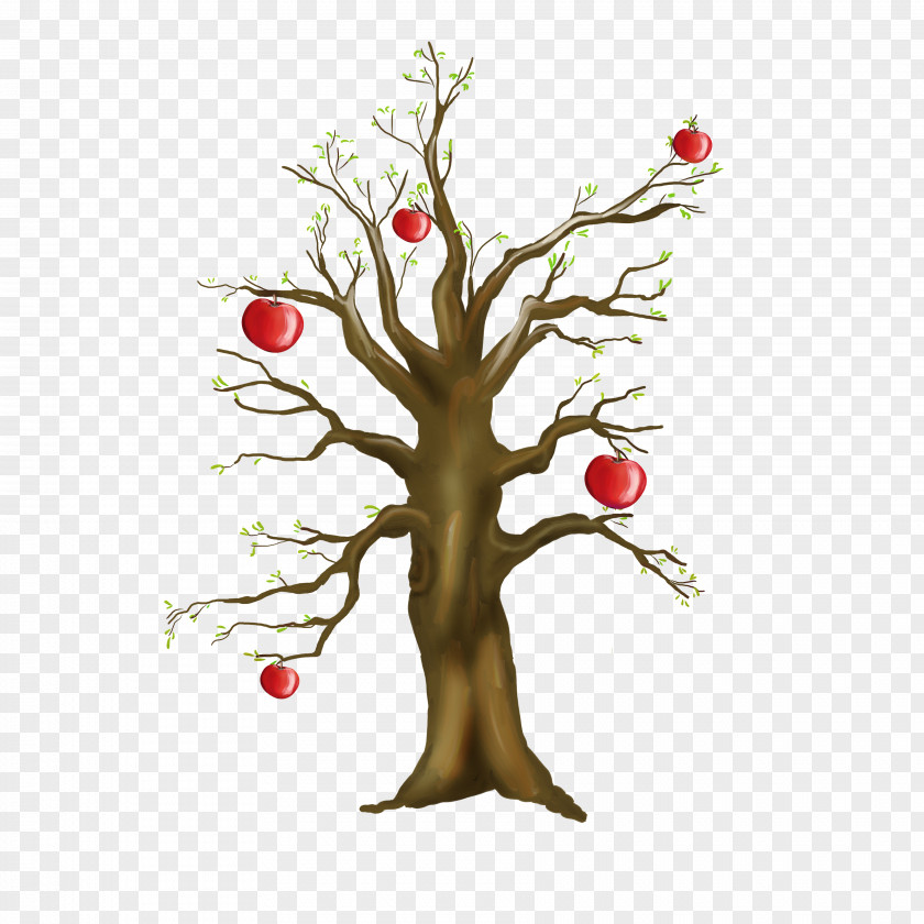 Beautiful Apple Tree Photography Winter Clip Art PNG
