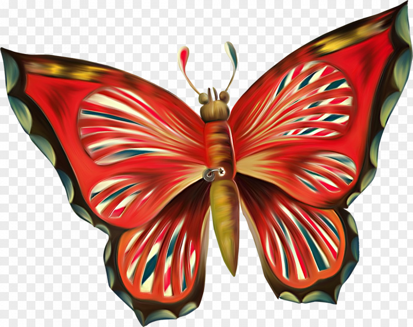Butterfly Pollinator Clip Art PNG