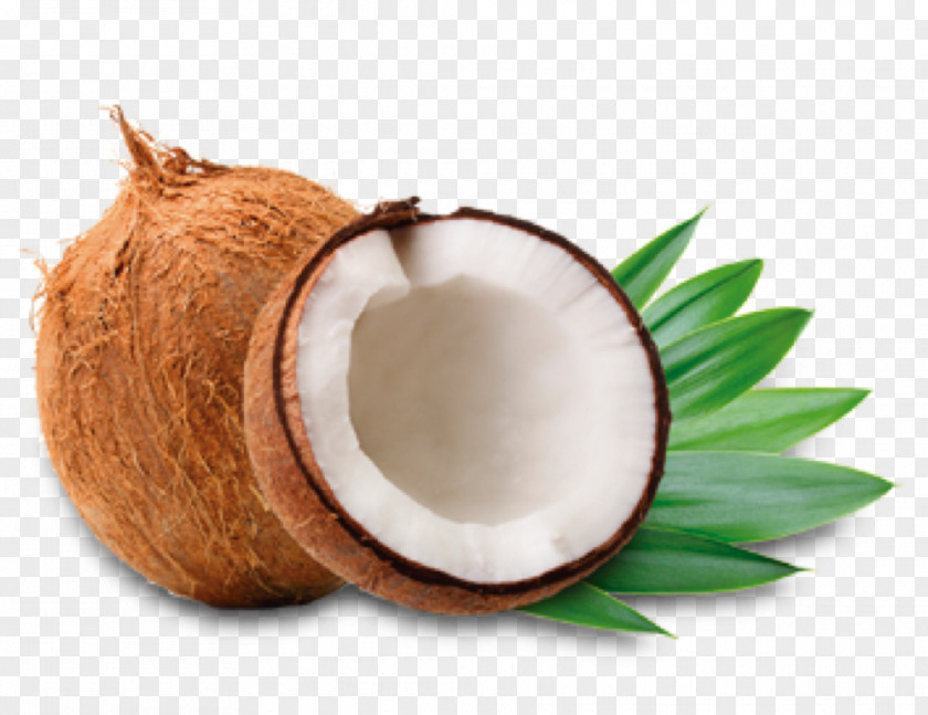 Cocos Coconut Water Oil Milk PNG