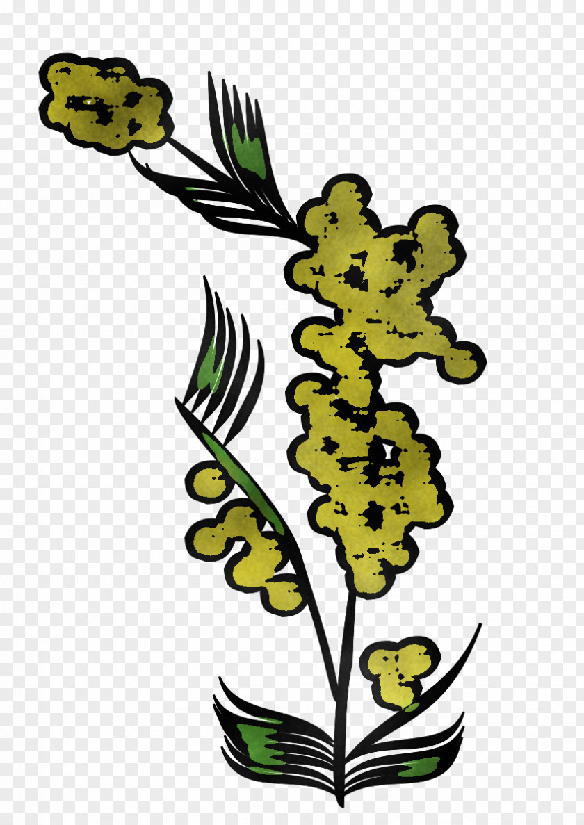 Leaf Plant Yellow Flower Stem PNG