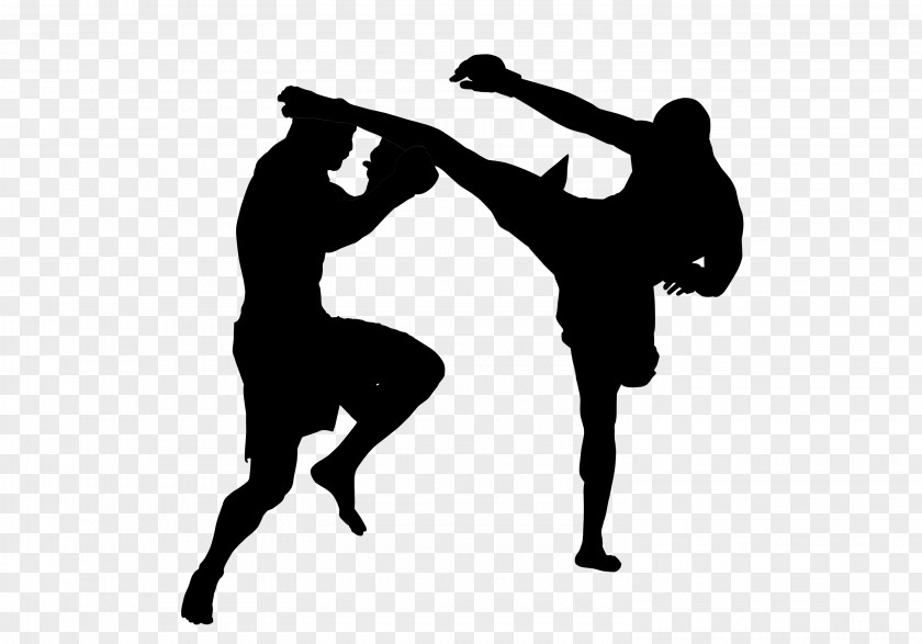 Mixed Martial Arts Ultimate Fighting Championship Wall Decal Sticker PNG