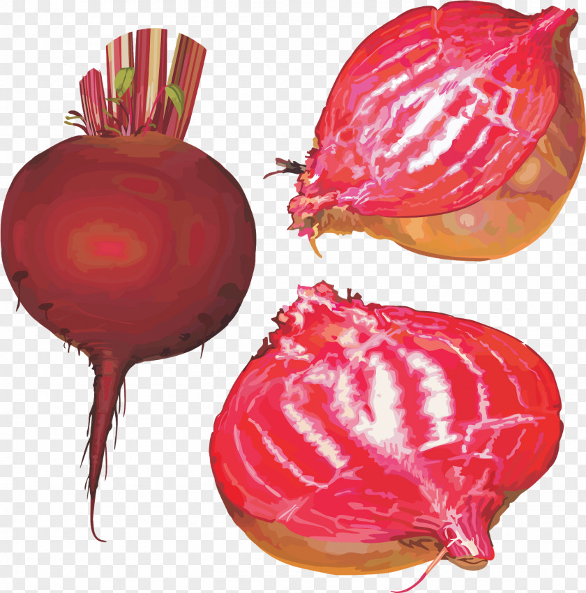 Vegetable Food Beetroot Plant Beet PNG