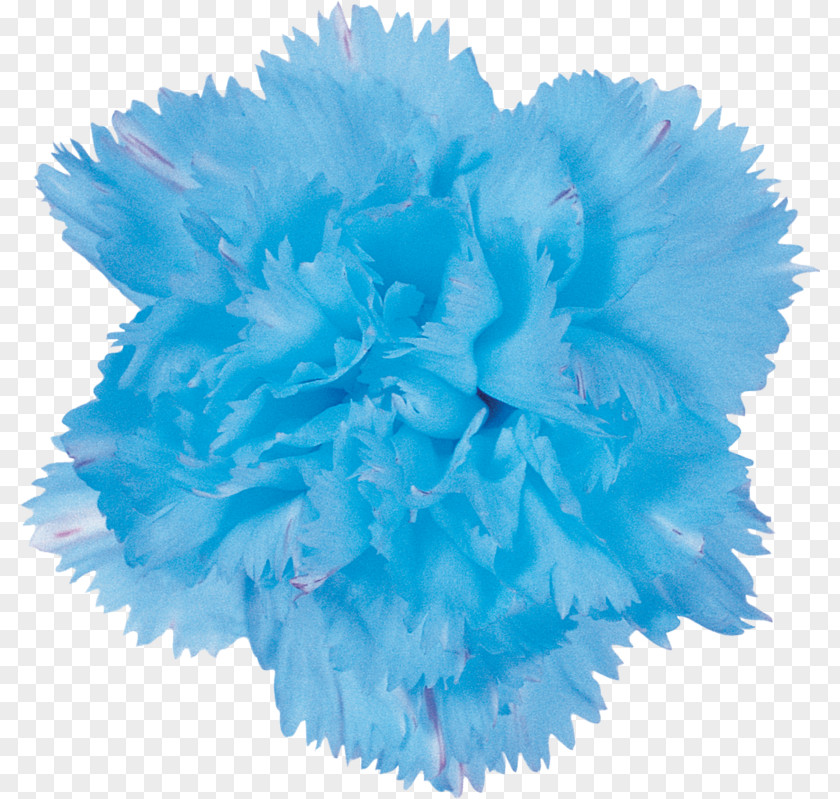 Carnation Tissue Paper Pom-pom Blue Bag PNG
