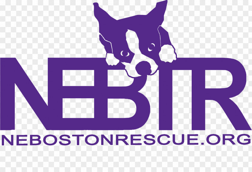 Cat Boston Terrier Pet T-shirt PNG