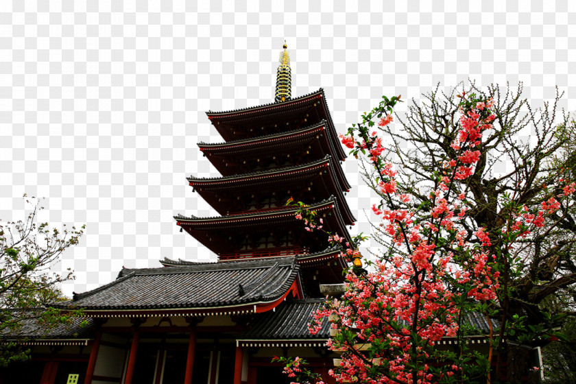 Japan Sensoji Temple Sensu014d-ji Tourist Attraction PNG