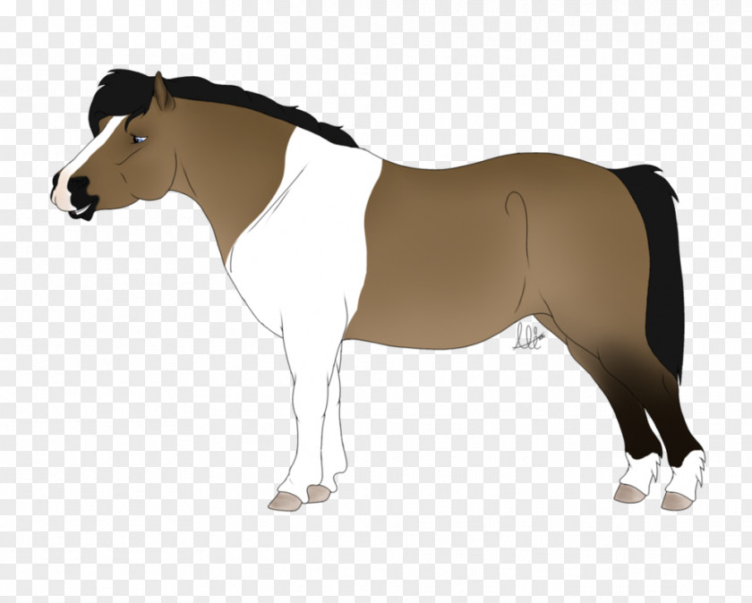 Mustang Mane Stallion Mare Rein PNG