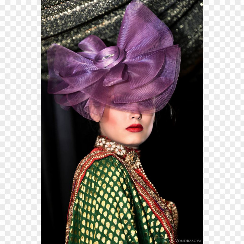 Oscar Wilde Headpiece Barbie Hat PNG
