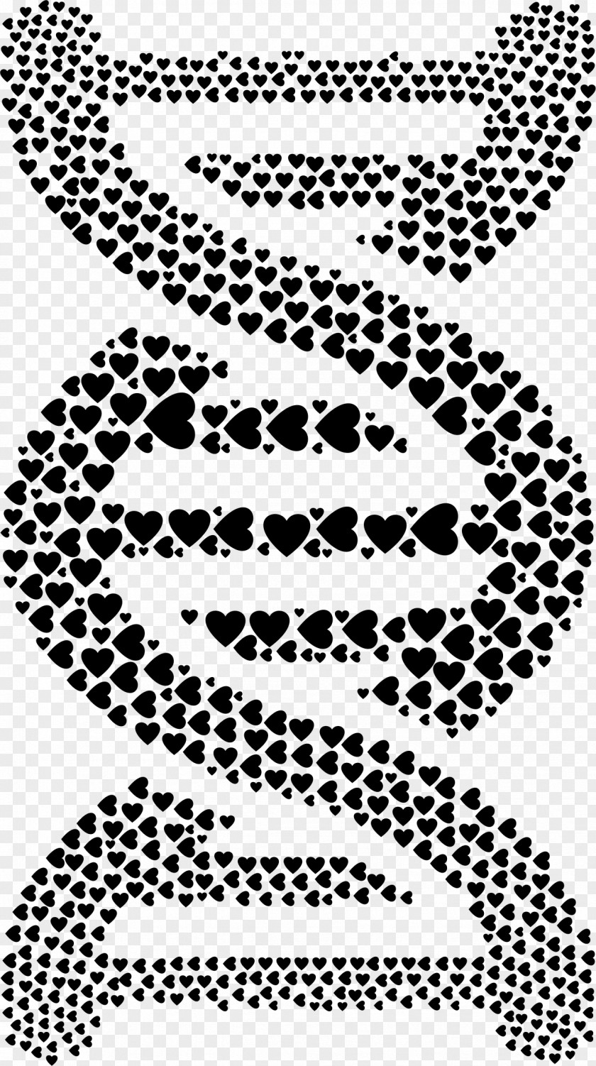 Cellular Lattice DNA Nucleic Acid Double Helix Clip Art PNG