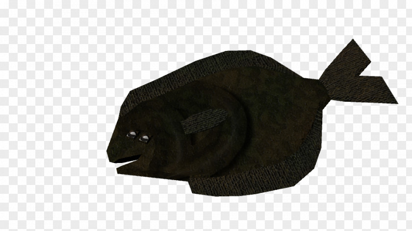 Cuttle Snout Carnivora Animal PNG