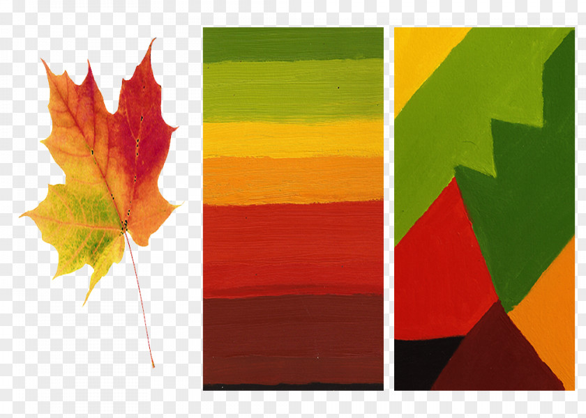 Painting Composition Color Theory Art PNG