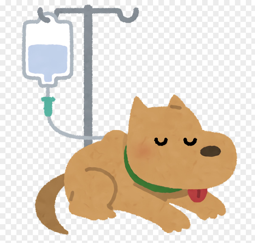 Pet Health Care PNG