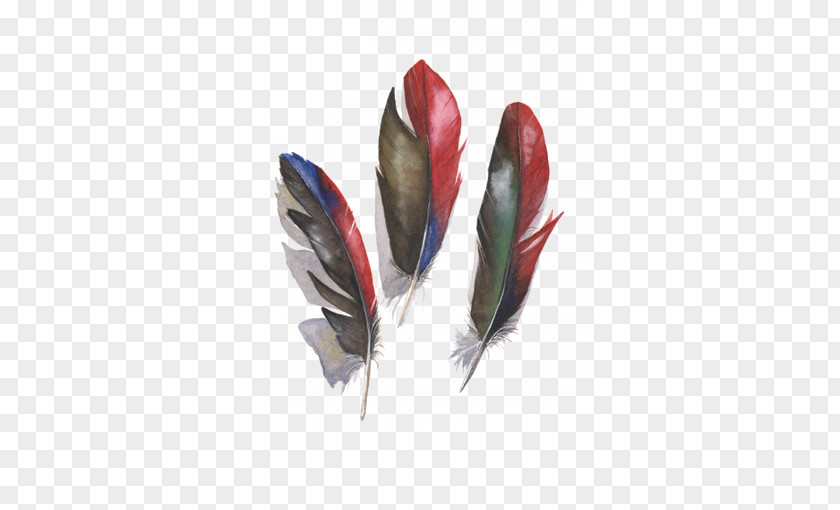 Red And Black Feathers Amazon Parrot Bird Feather PNG