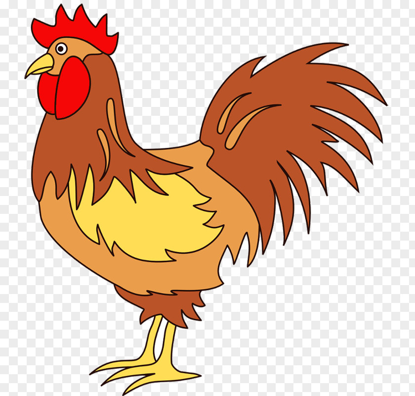 Rooster Chicken Poultry Drawing Clip Art PNG