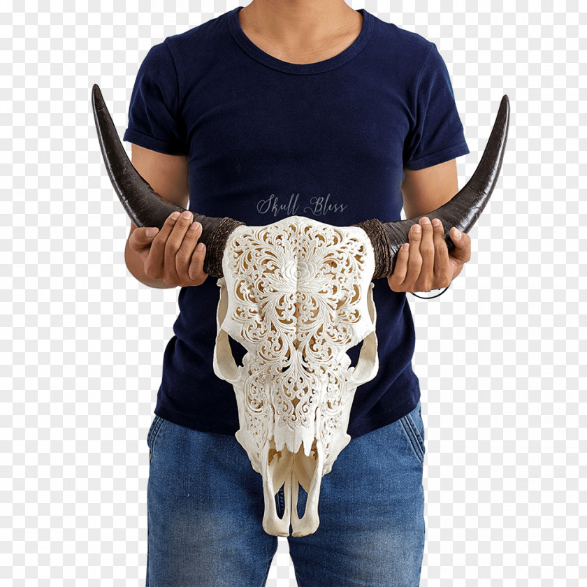 Skull Cattle Horn Bull Goat PNG