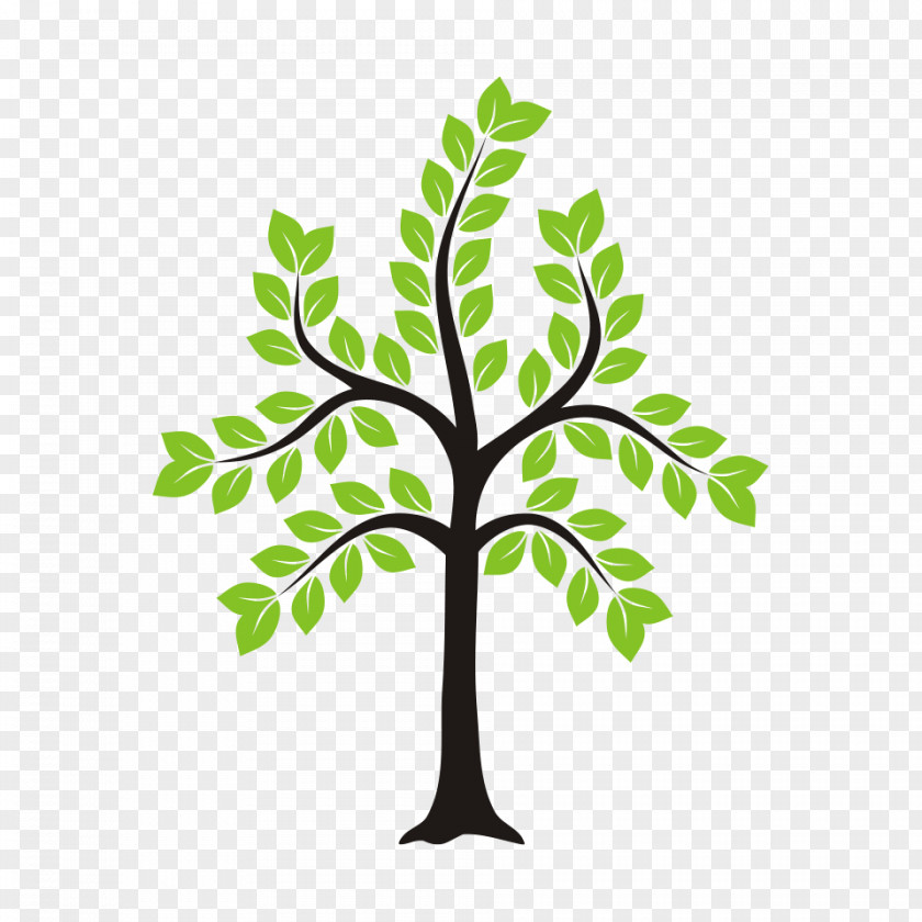 Tree Sticker Leaf Plant Stem Clip Art PNG