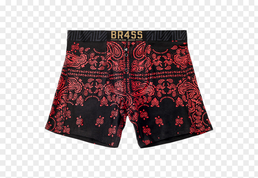 Underpants Swim Briefs Trunks Shorts PNG