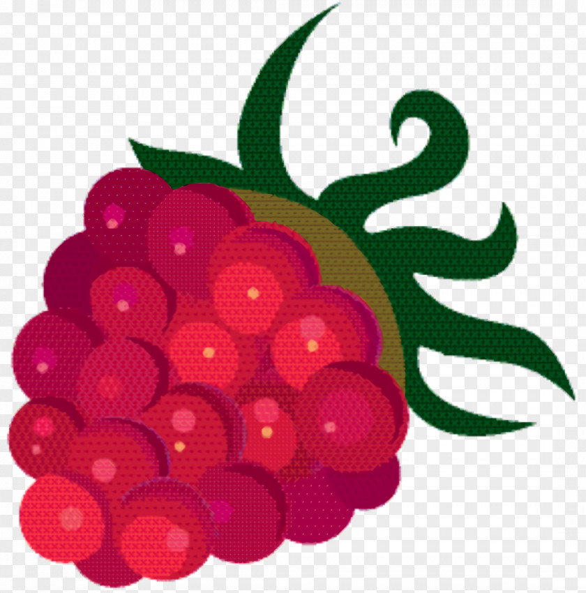 Accessory Fruit Superfruit Grape Cartoon PNG