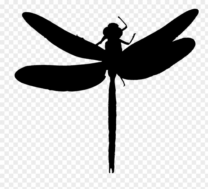 Dragonfly Insect Clip Art Line Silhouette PNG