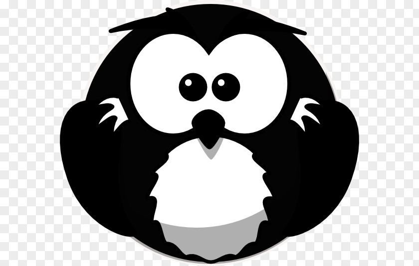 Owl Bird Cartoon Clip Art Drawing PNG